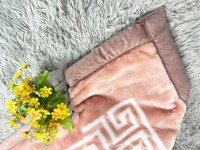 Vente en gros de couvertures en polaire Raschel sur mesure de 8 kg, taille king, super douces, pour lit double, bébé, couverture simple couche pour l'hiver
