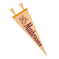 Banderines de la Escuela de fieltro impresos con logotipo personalizado OEM