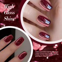 BORN PRETTY Fabricant 10ml Vernis à Ongles Magnétique Effet Œil de Chat Couleur Foncée OEM Gel Vernis Rouge Hiver Effet Œil de Chat pour Nail Art de Noël