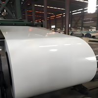 Bobine régulière en PE PPGI SGCC GB/T12755 pour la fabrication de revêtements extérieurs de serres horticoles et de réservoirs d'eau domestiques au Rwanda
