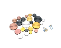 Fournisseurs de quincaillerie en gros Vis miroir en cuivre pur avec divers capuchon décoratif et rondelle plate en silicone