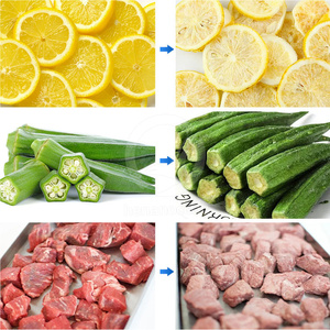 Máquina de liofilización de alimentos comercial OCEAN, buen precio, liofilizador de piña, máquina liofilizadora de carne - Product Image 4