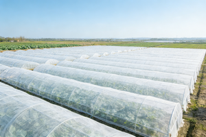 HDPE 방충망 30메쉬 그늘막 해충 방지 이중 기능 농업 터널 농장 플라스틱 쉐드 단층 대형 - Product Image 3