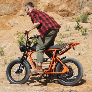 Vélo électrique commercial robuste avec cadre renforcé et freins à disque doubles pour la location dans les sites touristiques et les stations balnéaires - Product Image 3