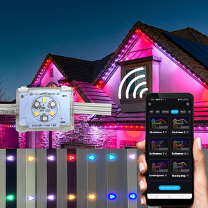 Luci natalizie da esterno Pixel a Led 48V con Pixel a Led e luci a Led per uso decorativo - Product Image 2