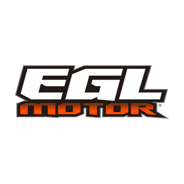 Yongkang Eagle Motor Co., Ltd. logo