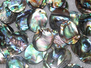 Natural <strong>Abalone</strong> Shell Discs Wholesale - Product Image 3