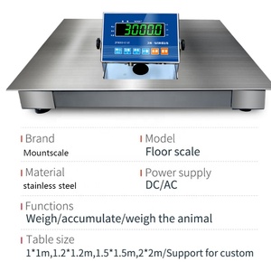 Langlebige 1-Tonnen-Digitalwaage 1x1m 1000kg Kapazität OEM Anpassbare Waagen für Präzise Gewichtsmessung - Product Image 4