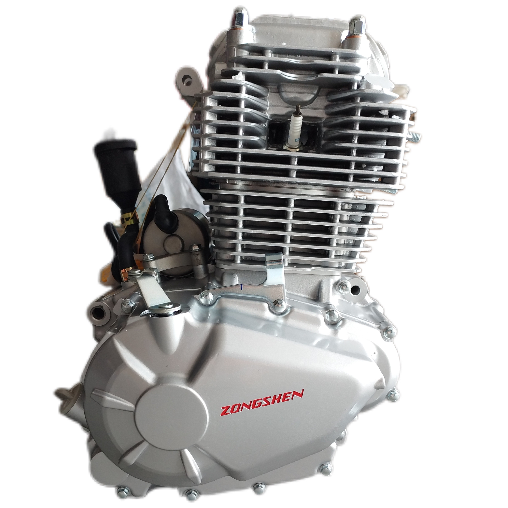 Zongshen Pr250cc 250cc Air Cooled Motorcycle Engine for Nicot Dirt