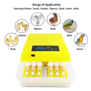 HHD Full Automatic Chicken 100 200 500 1000 Egg Incubator For Sale