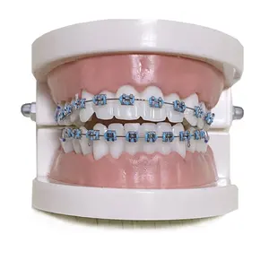 New products dental equipments fake fashion braces for teeth veener set