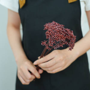 Conservato italiano Ruscus Fucus foglie ghiacciate moka disegno floreale decorazione fai da te fiori secchi decorazione di nozze italiano Ruscus - Product Image 5