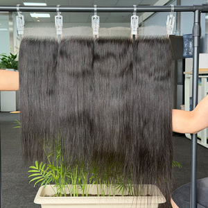 Cierre de Encaje HD 4x4 5x5 Liso, Cabello Humano Virgen Vietnamita 100%, 20 Pulgadas, Venta al por Mayor, Sin Caída - Product Image 1