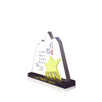 En gros Cristal Clair Acrylique Plaques Équipe Coopérer Cadeaux avec Étoile Plaquée Or