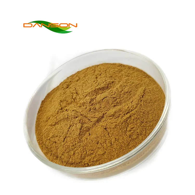 Wholesale Price Croton Extract Health Supplement Croton Seed Extract