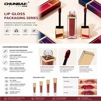 Tubes de brillant à lèvres carrés de 4ml vides personnalisés de luxe personnalisé emballage de grande baguette contenant de rouge à lèvres en argent