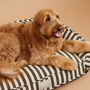 Anti-Slip Bodem Custom Luxe Kalmerende Orthopedische Traagschuim Grote Hondenbedden Hond Kat Bed Waterdichte Afneembare Hoes Oem/Odm - Product Image 5