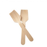 Mini houten lepeltjes, verpakking van 100, wegwerp vierkante proeflepeltjes, lepeltjes voor yoghurt en ijs