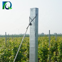 Poste de Acero Inoxidable para Vivero, Estaca para Uvas, Ecológico, Resistente a Roedores y a la Putrefacción, Tratado a Presión, Valla para Jardín, Cercado para Ganado, 6 Unidades
