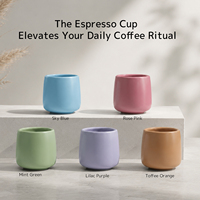 Tasse à expresso en céramique à double paroi, boîte mystère, isolée, anti-brûlure, petite tasse à café, cadeau surprise pour les amateurs de café
