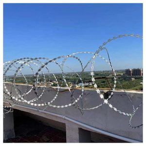 Fil barbelé galvanisé à barbelures croisées, diamètre 1,25-3,5 mm, excellente protection pour usage ferroviaire, 500 mm x 10 kg, en fer - Product Image 2