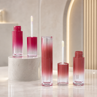 Huile à lèvres liquide mate dégradé ombré, tubes à rainures verticales, bases transparentes, tons rose rouille, approvisionnement en gros, logo personnalisé, OEM