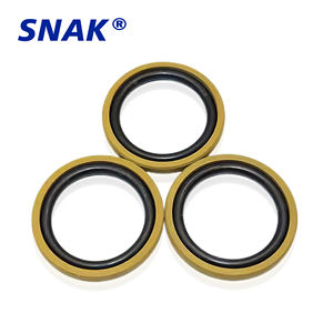 Joint d'étanchéité SNAK Factory 109 tailles STD STd OED OEdF GRS GSF BSF MSF Glen pour vérin hydraulique, joint d'étanchéité à huile à étapes - Product Image 2
