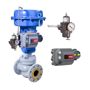 Vannes filtrantes chinoises avec régulateurs DVC6200 et 67CFR-600 pour commande pneumatique - Product Image 1
