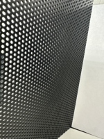 Maille en aluminium perforée noire thermolaquée standard australienne pour porte de sécurité et moustiquaire