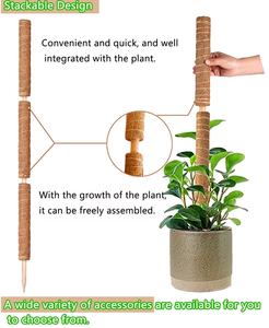 Poteau <span class=keywords><strong>en</strong></span> mousse moderne et flexible pour plantes d'intérieur, grand modèle, pour tortues et bambous, support de croissance pour plantes - Product Image 6