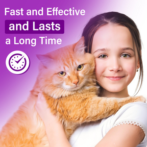 Grosir OEM Feline Calming Pheromones 4 kemasan isi ulang kecemasan pereda Stress kucing dengan sertifikasi - Product Image 3