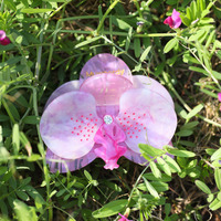 Pinces à cheveux YHJ Phalaenopsis, printemps-été, décontractées, fraîches, naturelles, en acétate, accessoires pour cheveux pour femmes et filles