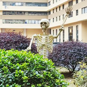 Esqueleto Humano Gigante de 153cm em Tamanho Real para Exterior com Juntas Ajustáveis, Adereço de Halloween em Pé - Product Image 5