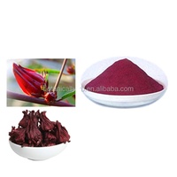 B.C.I approvisionnement d'usine 100% pur naturel Roselle poudre Hibiscus Sabdariffa fleur poudre sèche Roselle fleur extrait