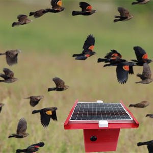 120dB sesler korkutmak ve ultrasonik kuş kovucu cihaz, dahili GÜNEŞ PANELI güçle sıkıntı ve yırtıcı çağrılar yayar - Product Image 6