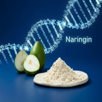 Naringine de qualité alimentaire naturelle, extrait d'eau pure, sans solvant, haute pureté, poudre d'extrait de fruit en fût