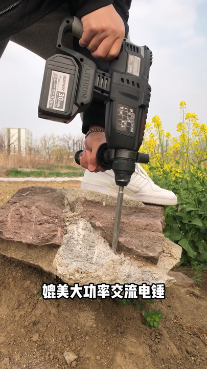 Nanwei Brushless Cordless Rotary Hammer Drill For Home Use Oem
