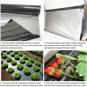 Plástico de Cobertura para Agricultura, Estabilizado contra Rayos UV, de 20 Micras, Negro y Plateado, para Protección de Cultivos, Barrera Contra Malezas - Product Image 2