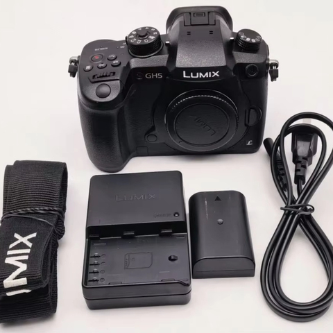 Used Panasonic Gh4 Pick #25 (389780)