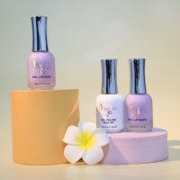 Vendita calda OEM/ODM High Pigment inodore Soak off UV Nail Gel Polish per Manicure Nail Art