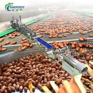 Ligne de production de frites de cacahuètes à haut rendement Shepody, en acier inoxydable, pour fèves et petits pois, à friture continue - Product Image 2