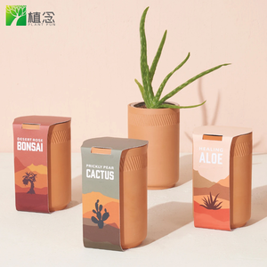 Nouvel arrivage de Bonsaï de palmier Kit de plantes en pot d'intérieur Macetas Bonsaï pour décorations de maison - Product Image 4