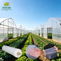 Film de serre résistant aux UV, bâche plastique transparente robuste pour la culture des légumes