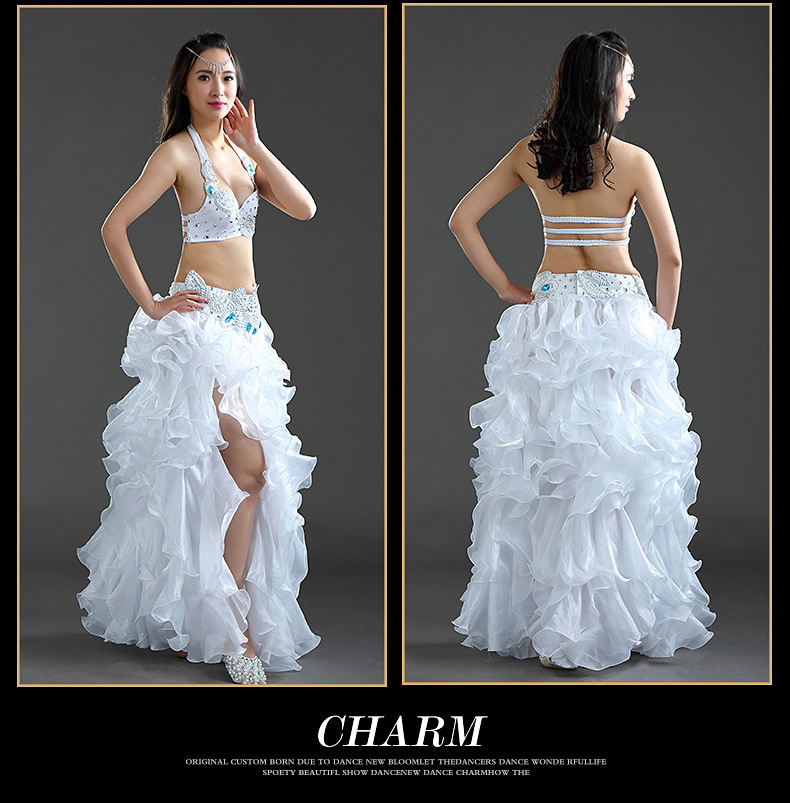Wholesale Belly Dance Costume Belly Dance Performance Wear Belly Dance Bra Belt kirt,2 Sets Wholesale Belly Dance Costume Belly Dance Performance Wear Belly Dance Bra Belt kirt,2 Sets