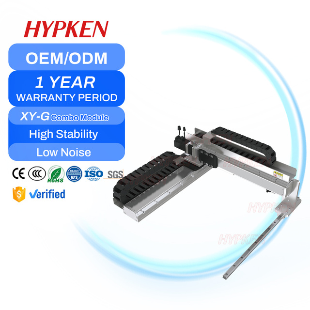 High Precision Stainless Steel Linear Positioning System 800mm Stroke Linear Guide Bearing Heavy Load CNC Machine XYZ Gantry