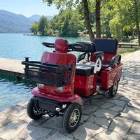 Scooter Eléctrico de 2 Plazas y 4 Ruedas de Fábrica China con Caja de Carga Trasera, Control Manual y Marco Antioxidante para Viviendas con Vista al Mar y Villas de Montaña
