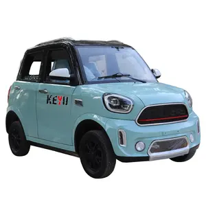 YANO 2024 Factory Manufactured Small Adult 4-Round Pure Electric Vehicles Energy-Saving New Energy Vehicle Type