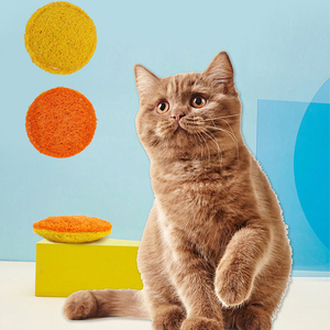Juguete para Gatos de Luffa Natural con Hierba Gatera en el Interior, Galletas Tipo Sándwich para Limpiar los Dientes - Product Image 1