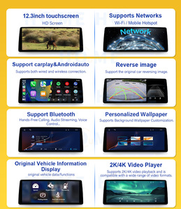 Navigatore GPS con Sistema Linux, Lettore DVD Multimediale per Auto da 12,3 Pollici per Serie 1 2 F20 F21 F22 F23, Android Auto Wireless Carplay 2011- - Product Image 3