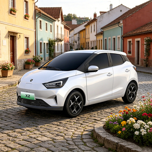 Approvisionnement direct usine : Voiture électrique compacte Forthing, <span class=keywords><strong>prix</strong></span> abordable, longue autonomie, véhicule électrique urbain type hatchback pour concessionnaires étrangers - Product Image 1